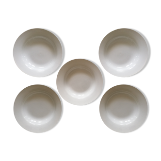 Set of 5 hollow plates Digoin Sarreguemines