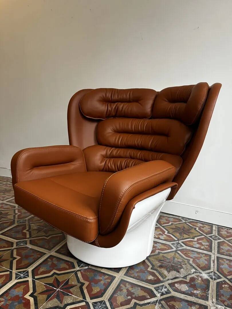 Elda lounge fauteuil– Joe Colombo, Longhi
