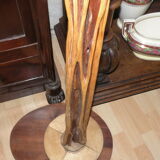Exotic Natural Wood Floor Lamp 1950, 1960