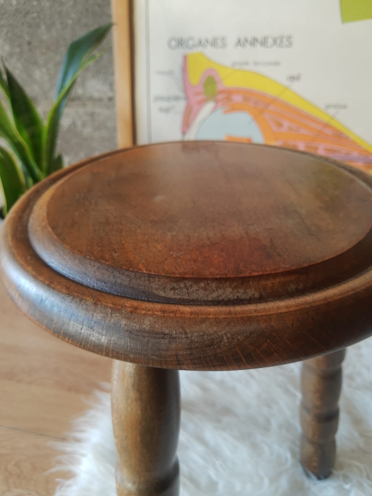 Old farm stool, tripod wooden countryside - vintage