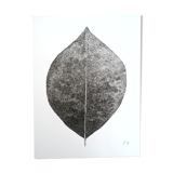 "Leave the automn" encre de chine