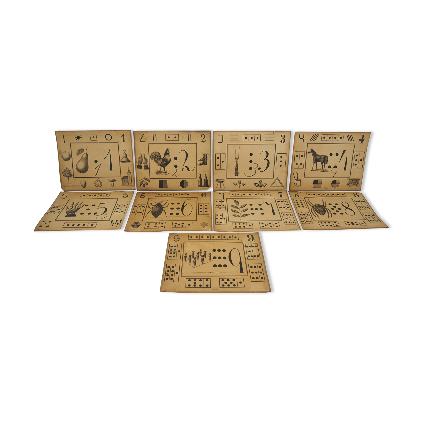 Set Of Nine Antique Teaching Posters from Litography A. Haase, Prague, 1900s