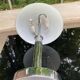 Mushroom table lamp WOFI Leuchten – Chrome metal & frosted glass
