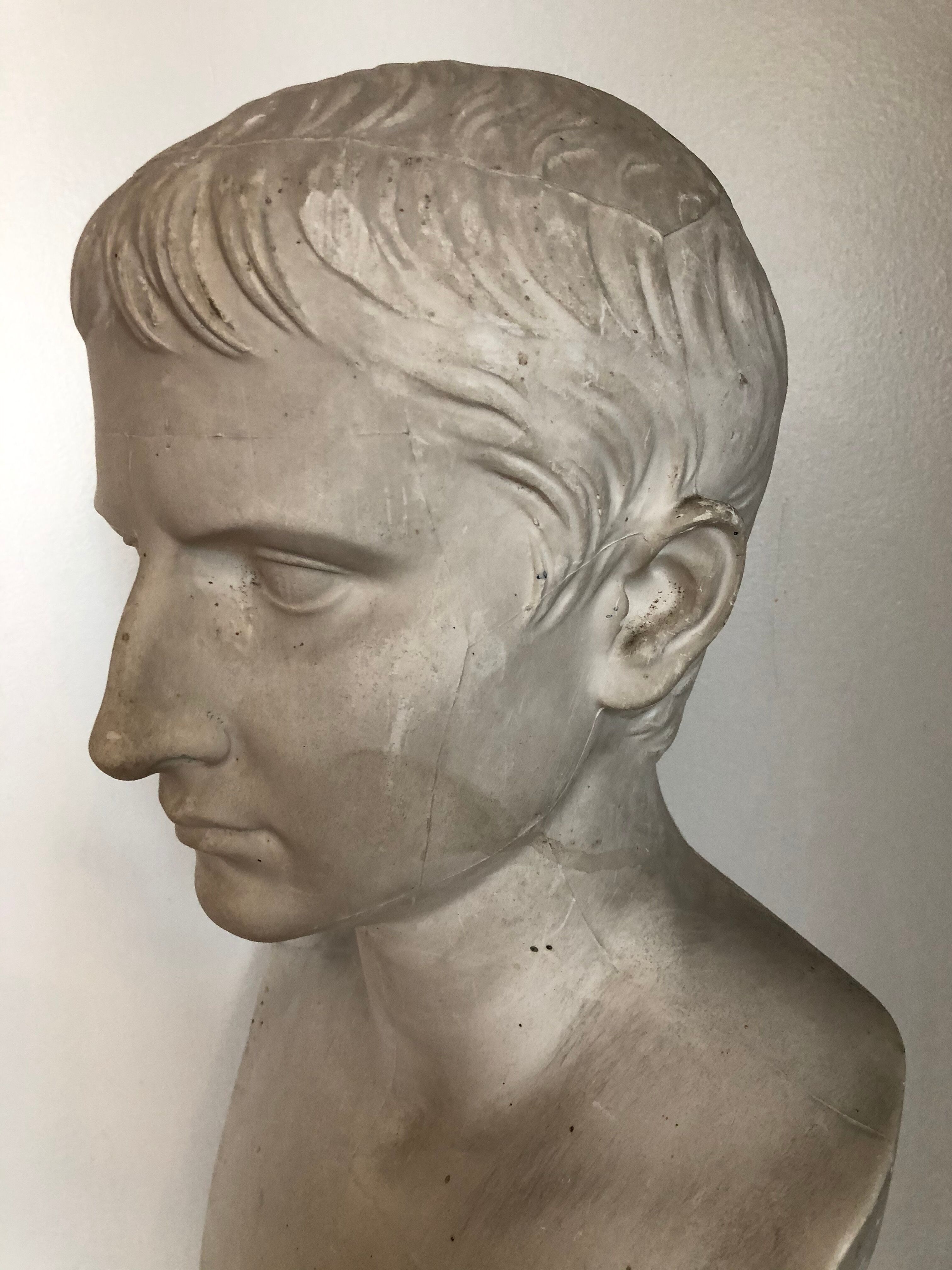 Bust of Bonaparte in plaster