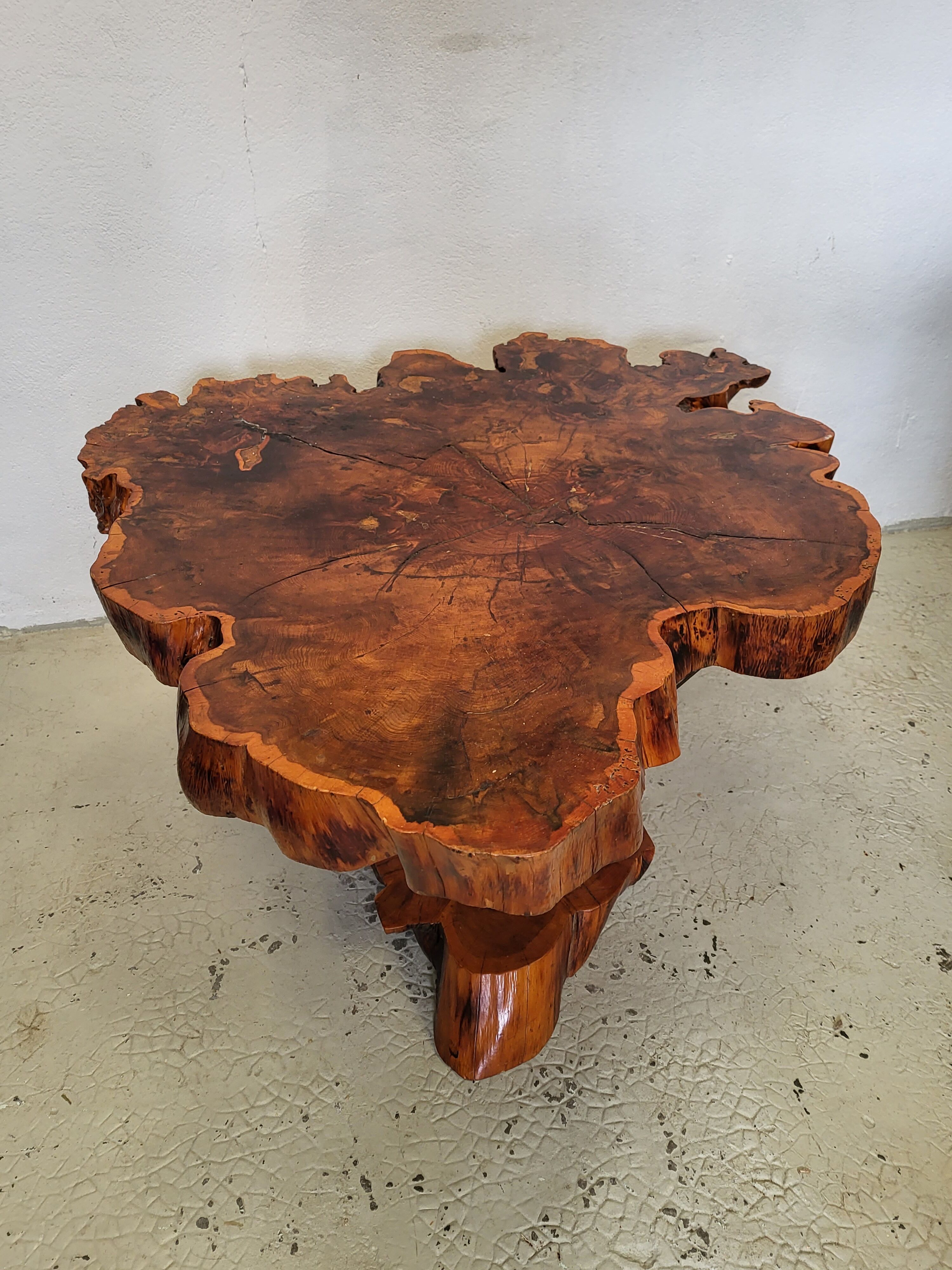 Brutalist table trunk old elm magnifying glass