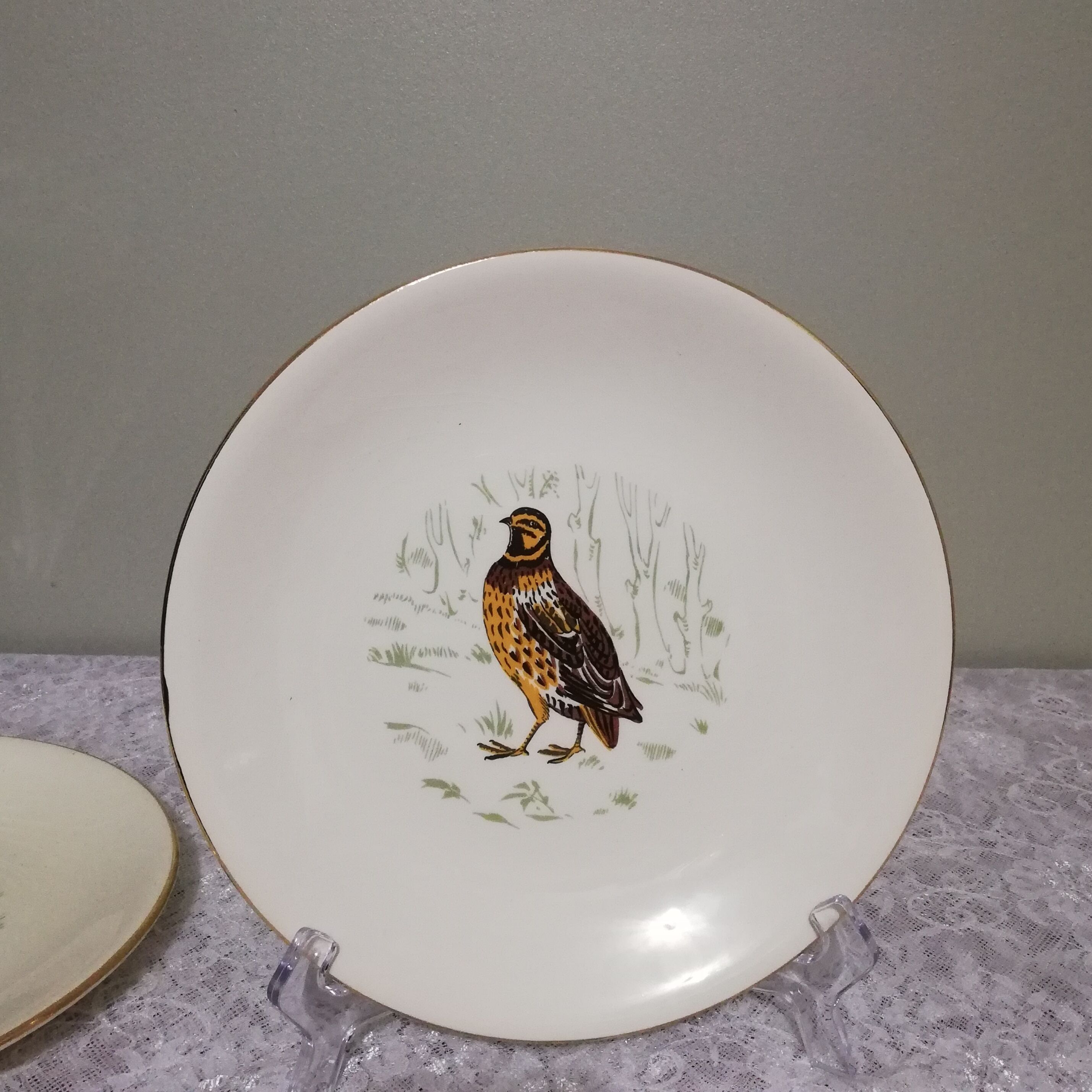6 flat plates Gien Marly "birds of the forests"