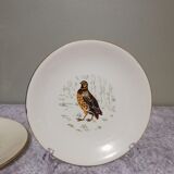 6 flat plates Gien Marly "birds of the forests"