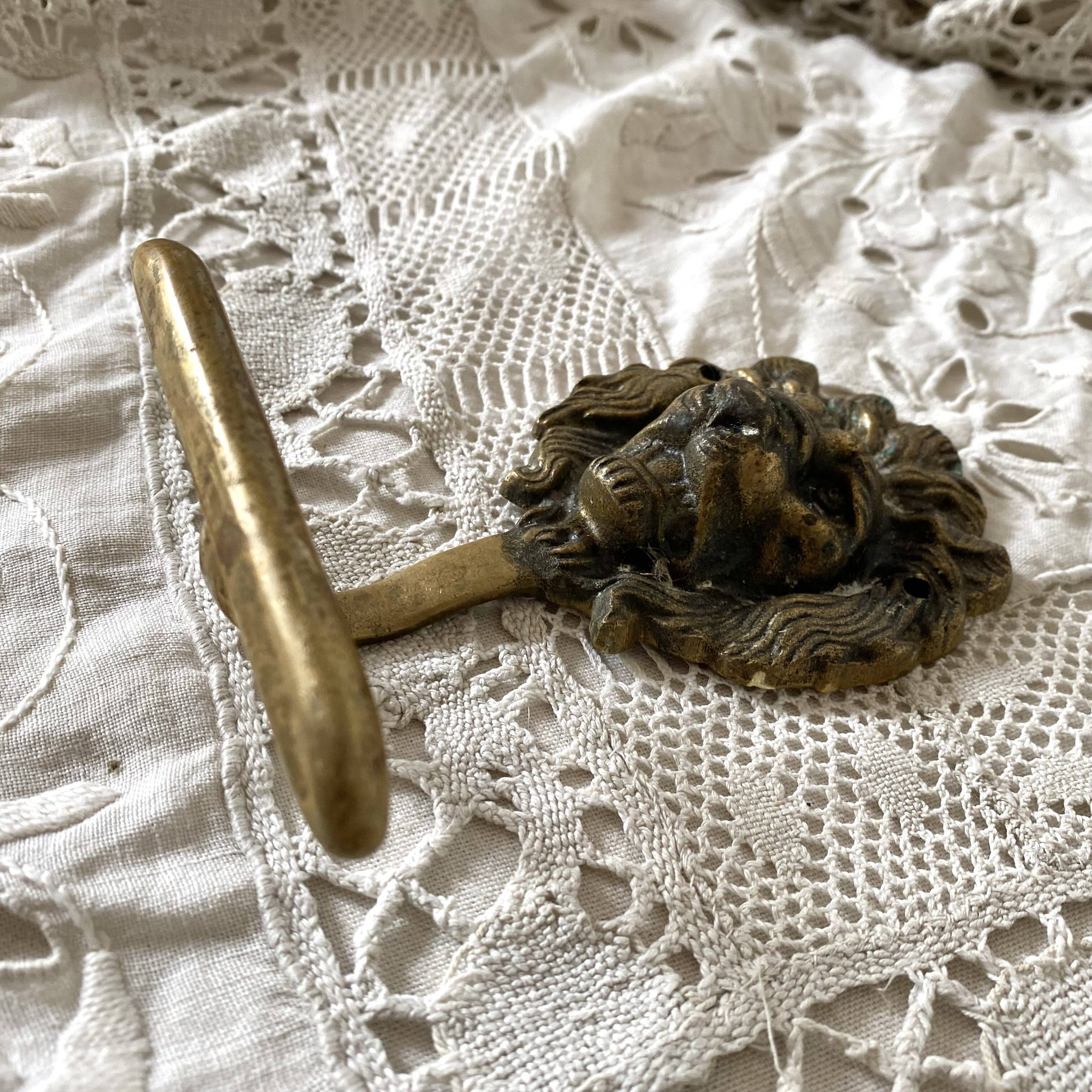 Brass lion head hooks