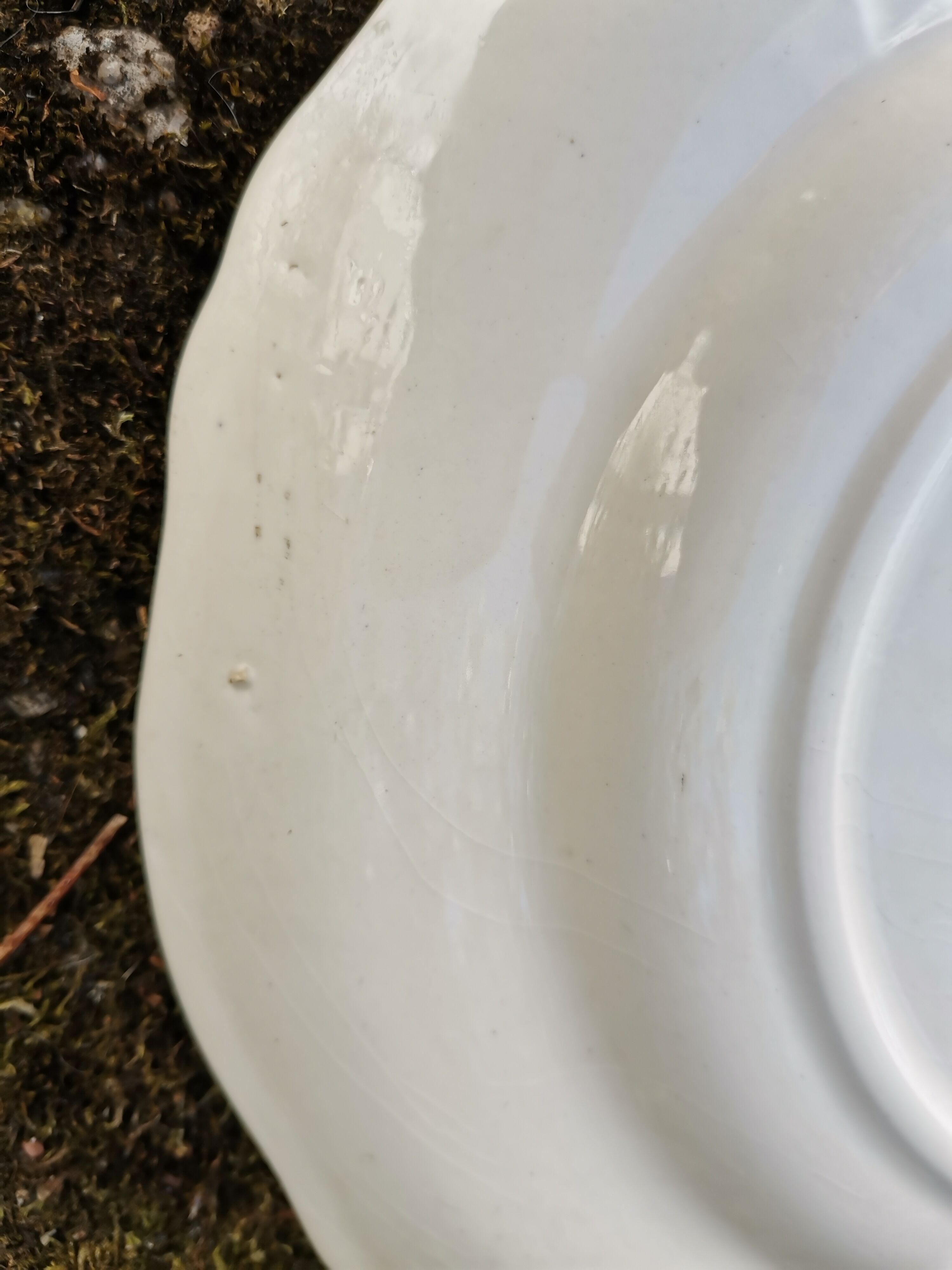 Plate st amand vieux strasbourg