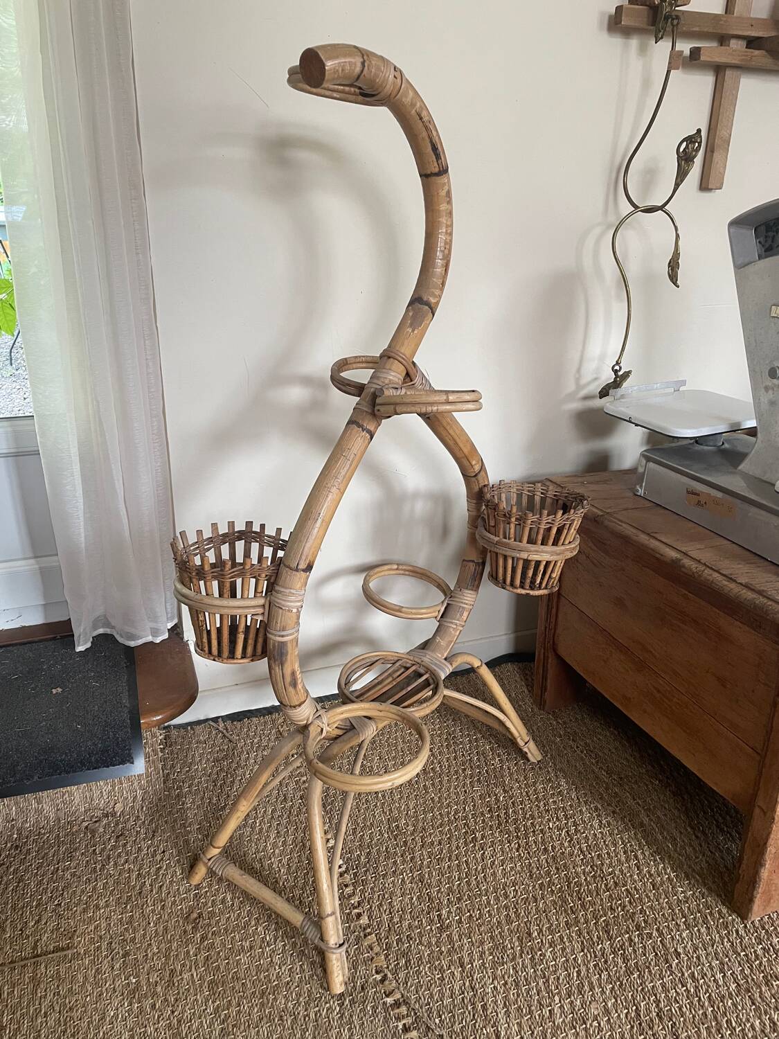 Serpent plant holder