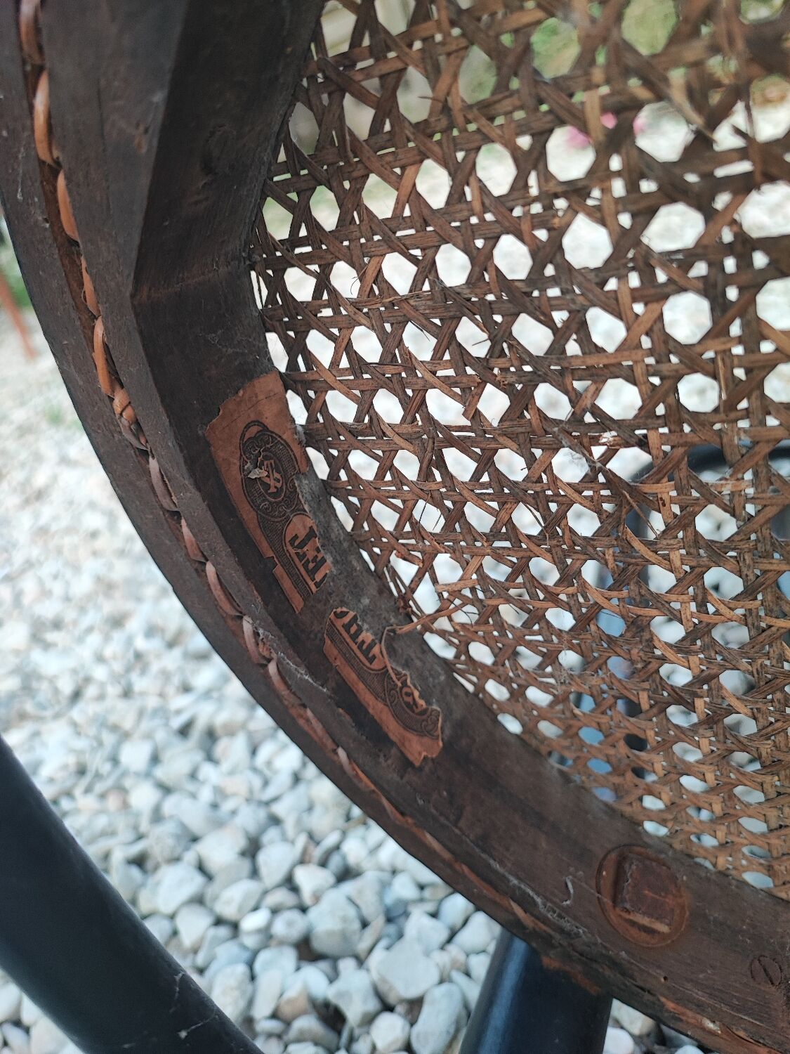 Duo de chaises cannées, Thonet Austria