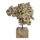 Antique White Coral on Marble Base, Height 20 cm