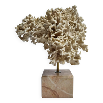 Antique White Coral on Marble Base, Height 20 cm