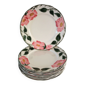 8 dessert plates Villeroy & Boch "Wild Rose", 1970