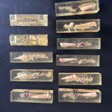knife holder in resin and shells from the 70s