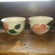 Duo de tasses Villeroy & Boch "Wild rose"