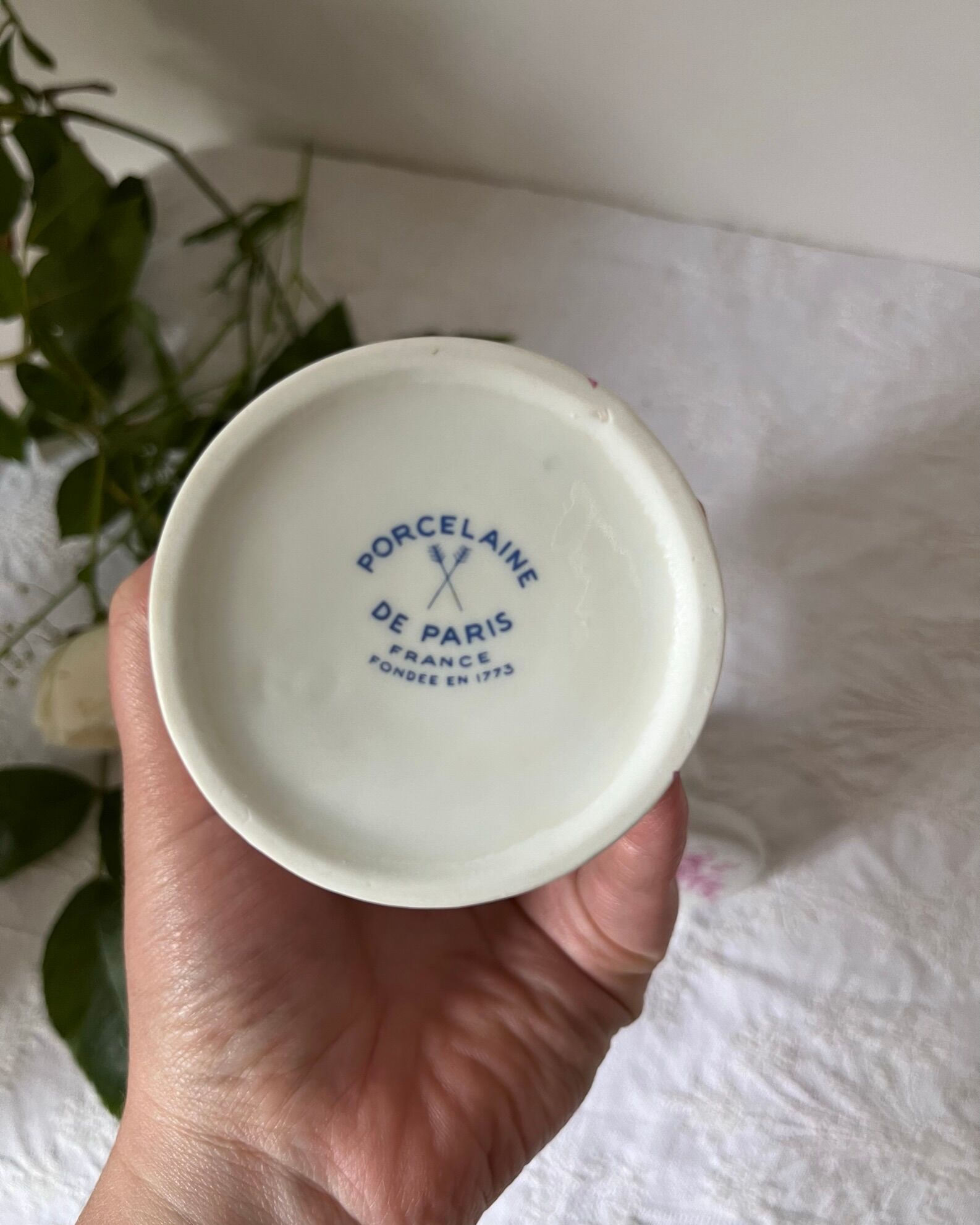 Pharmacy pot - bathroom pot in paris porcelain, decoration of roses
