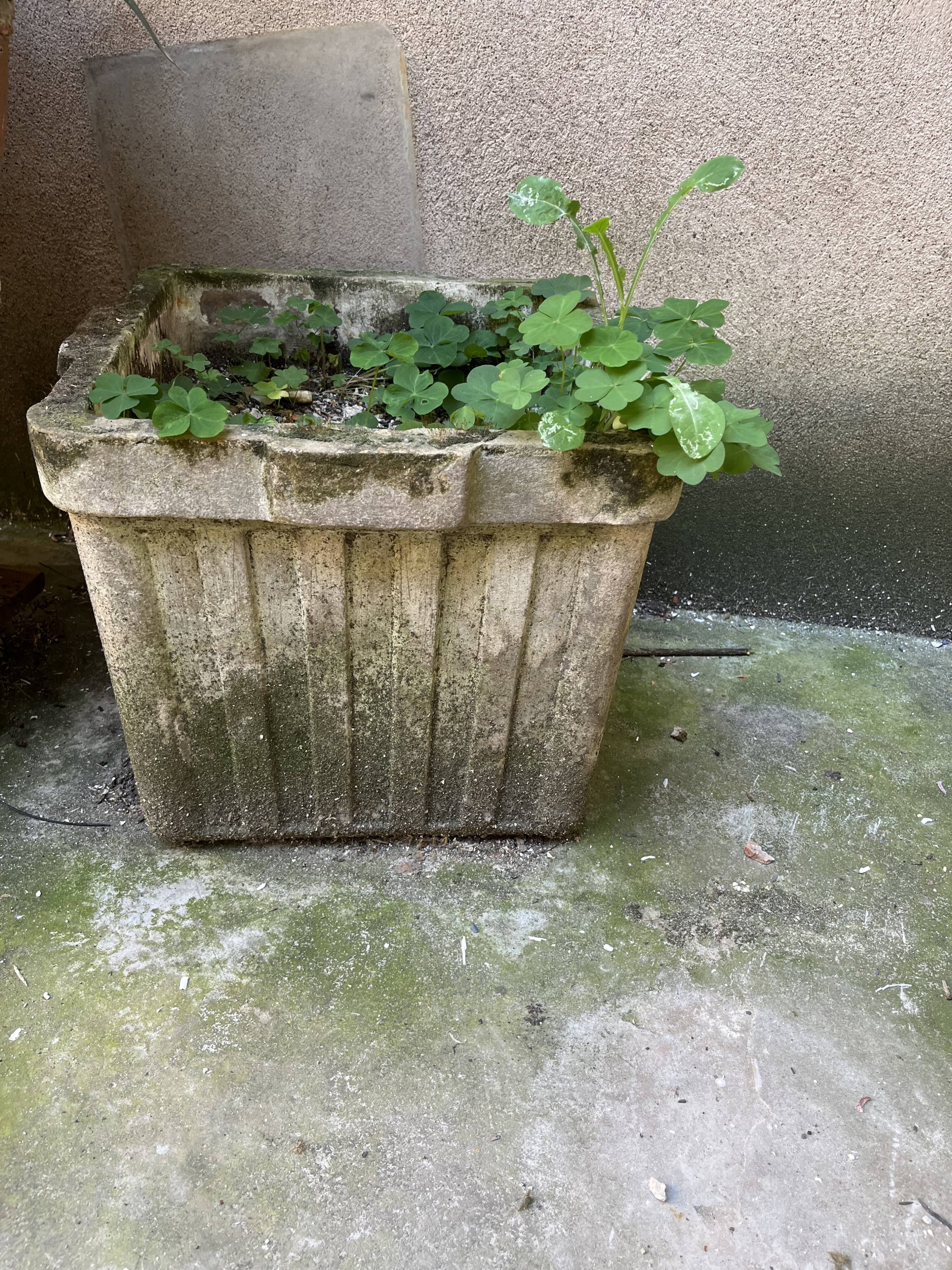 Square planter in concrete/cast cement
