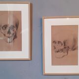Pair of nineteenth pencil study drawings