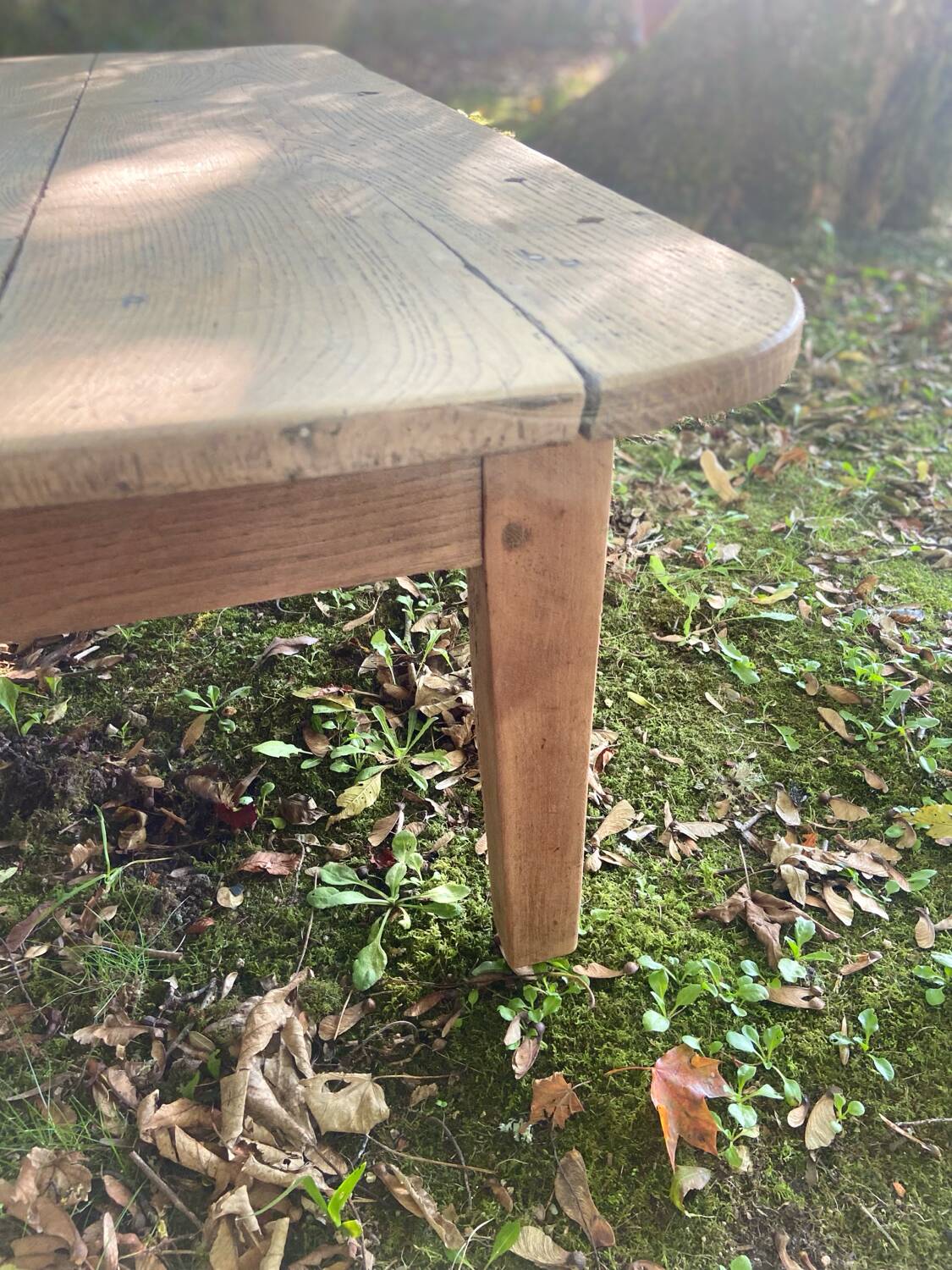 Table basse de ferme en chêne massif