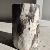 Side table in petrified wood