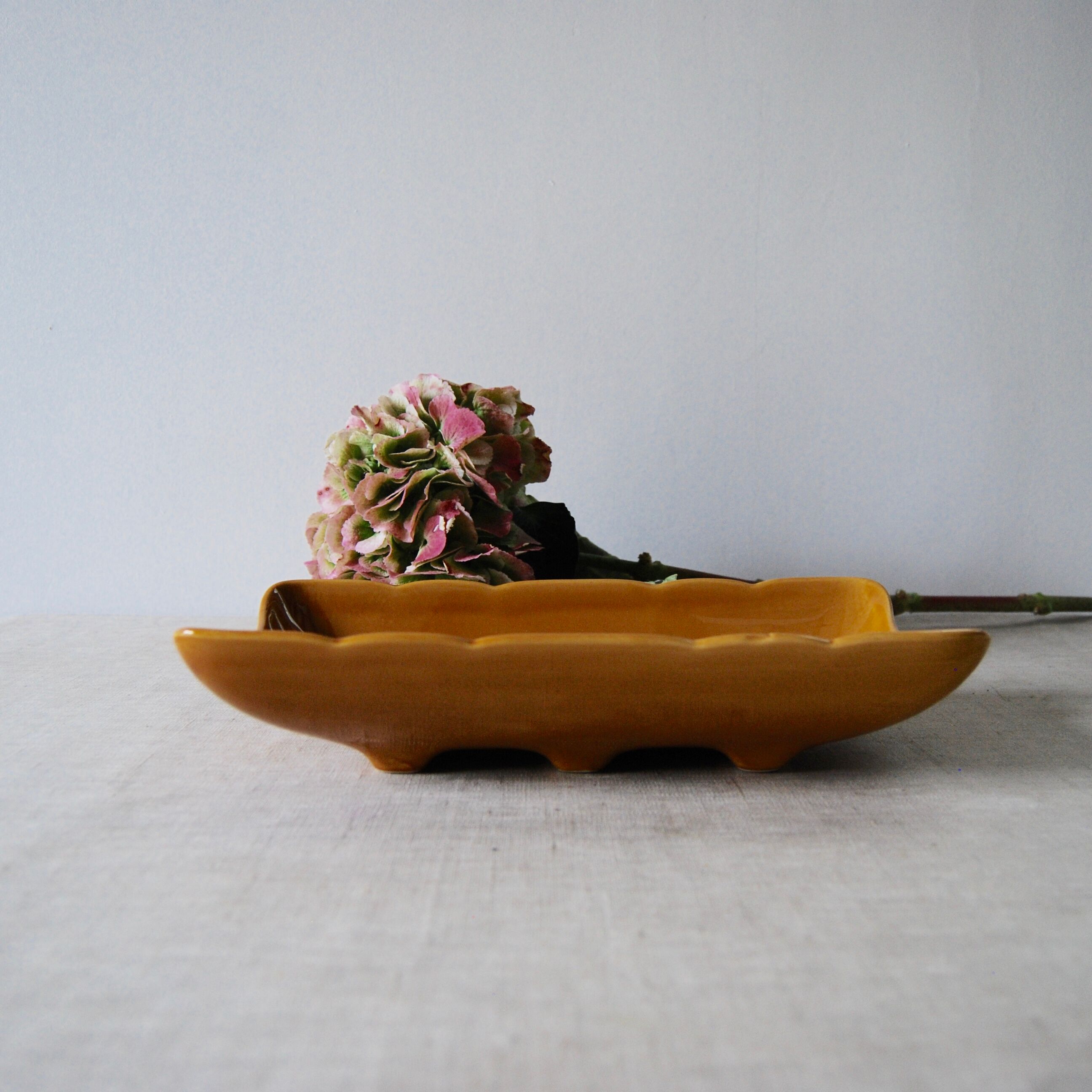 Gien asparagus dish