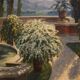 Italian landscape painting from the first half of the 20th century