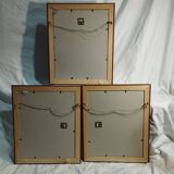 set of 3 reproductions of old illustrations by John James Audubon