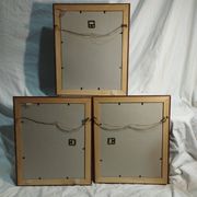 set of 3 reproductions of old illustrations by John James Audubon