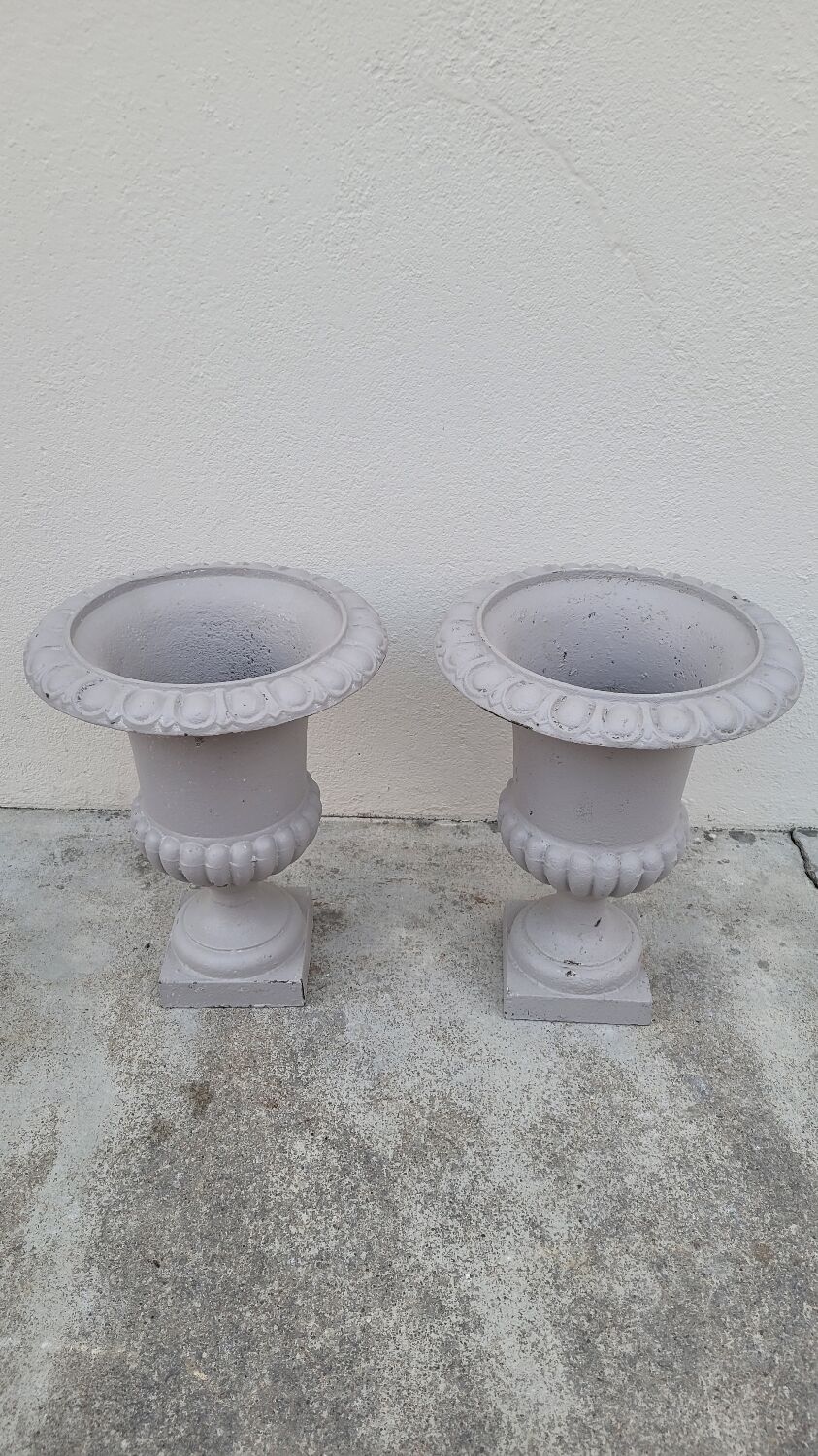 Pair of 19th century cast iron medicis vases