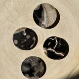 Set of 4 fossilized wooden coasters