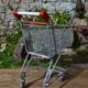 Caddie de supermarché pour enfant