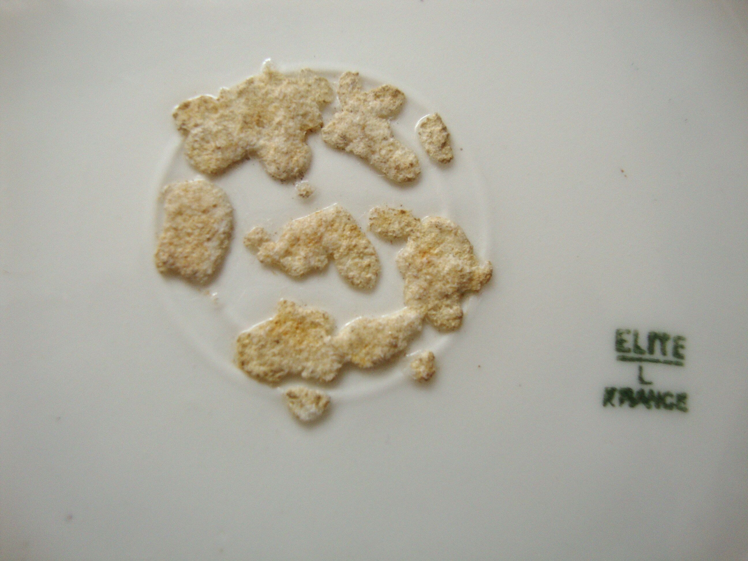 6 Limoges Elite dessert plates France