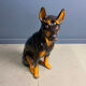 Vintage ceramic sculpture of a Doberman, 1960s