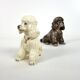 Pair of glazed ceramic poodles, circa 1950