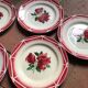 Digouin plates