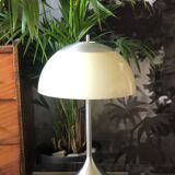 Mushroom lamp foot tulip