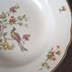 Lot de 3 assiettes creuses Digoin & Sarreguemines, oiseau de paradis