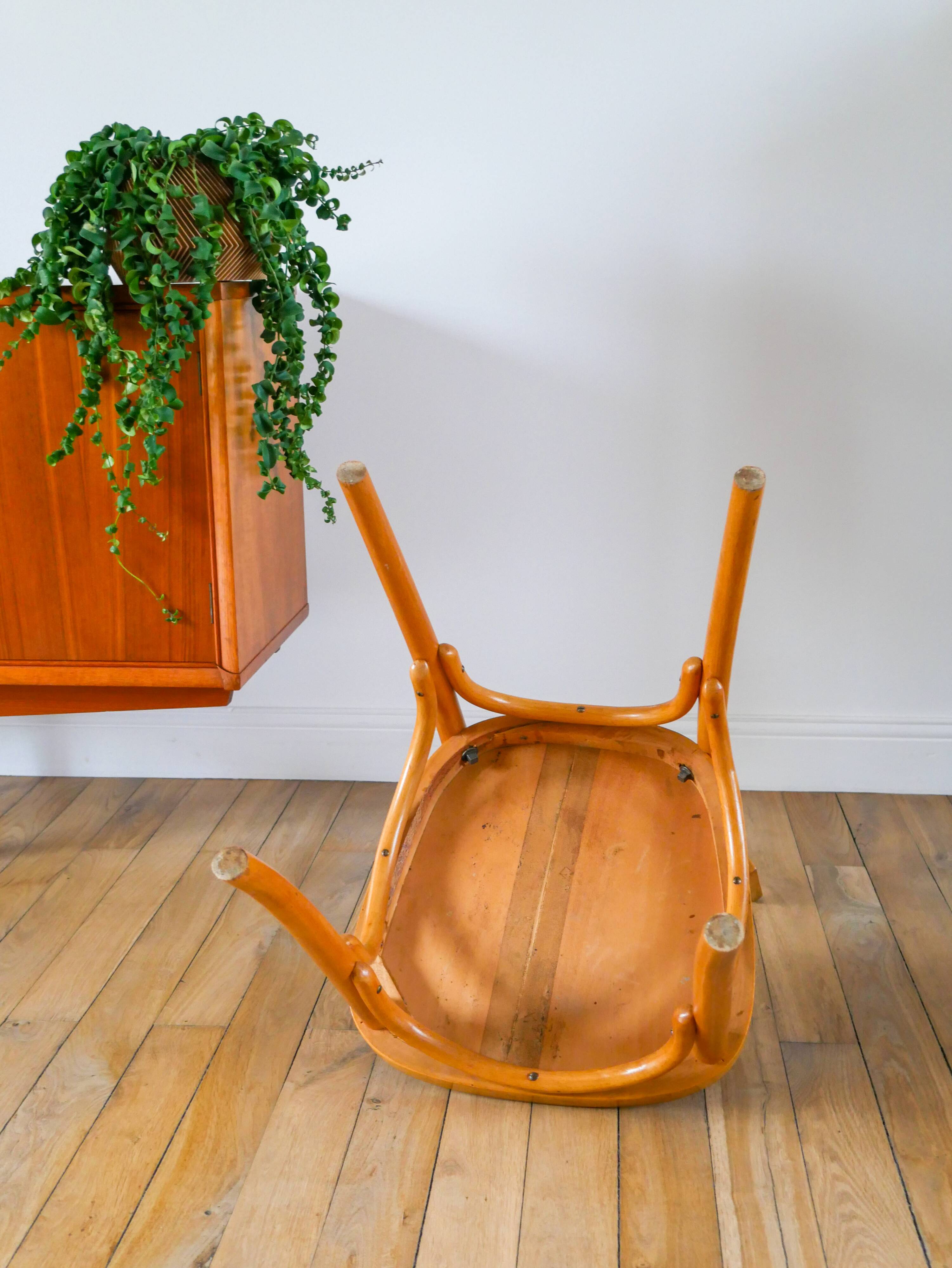 Baumann bistro chair in blond oak, 1950s