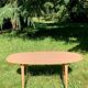 Superellipse table by Bruno Mathsson and Piet Hein for Fritz Hansen, Denmark 1980s
