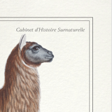 Set of 2 framed chimera lithography animal engraving