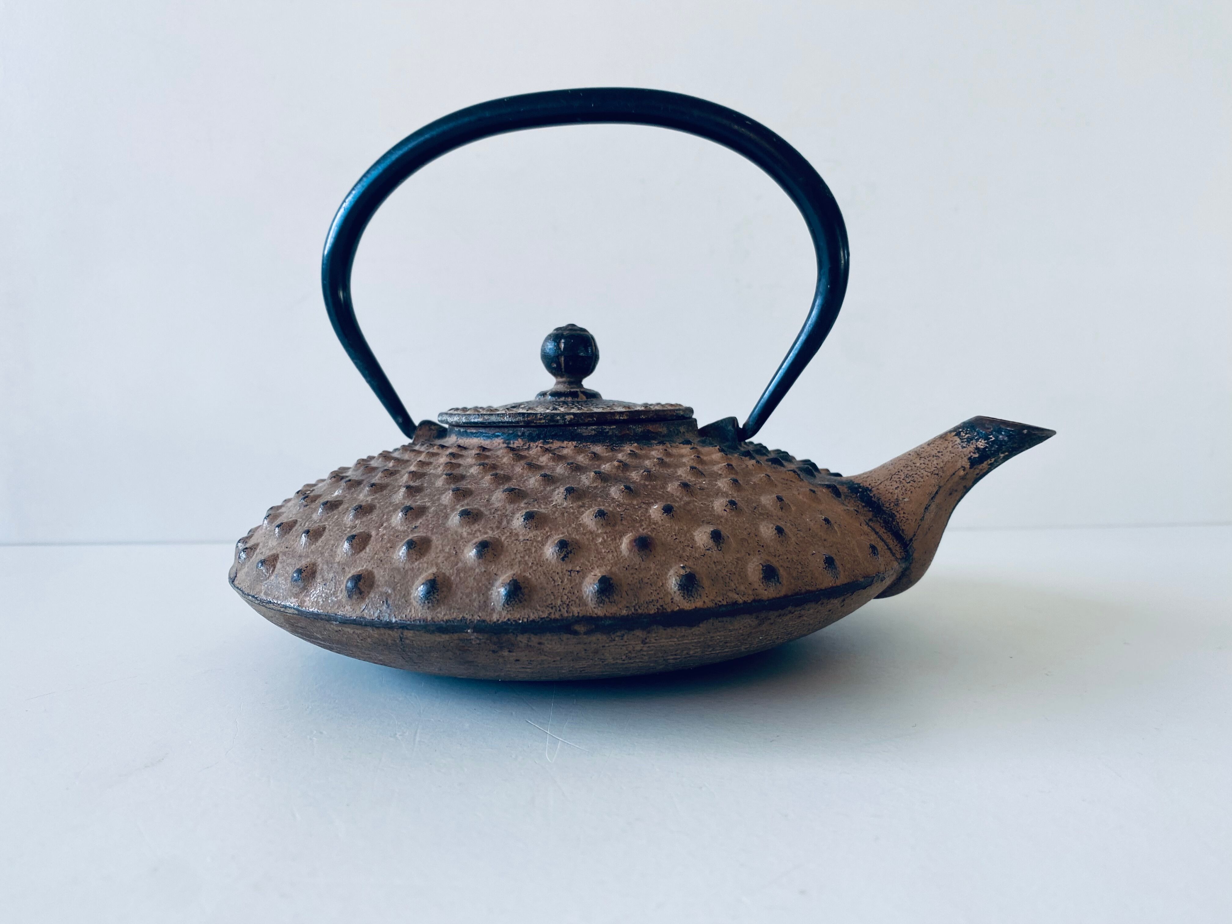 Ancient Japanese teapot in cast iron