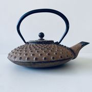 Ancient Japanese teapot in cast iron