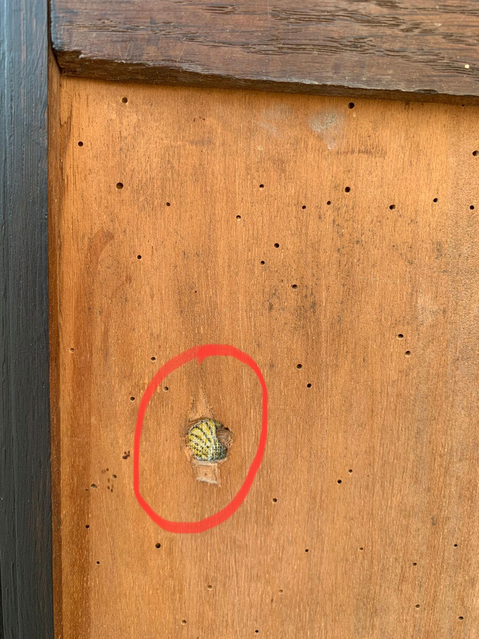 Parisian art deco buffet 1930