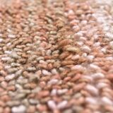 Tapis marocain surdimensionné en terre cuite 9x10, 269x303Cm