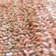 9x10 terracotta oversize moroccan rug,  269x303cm