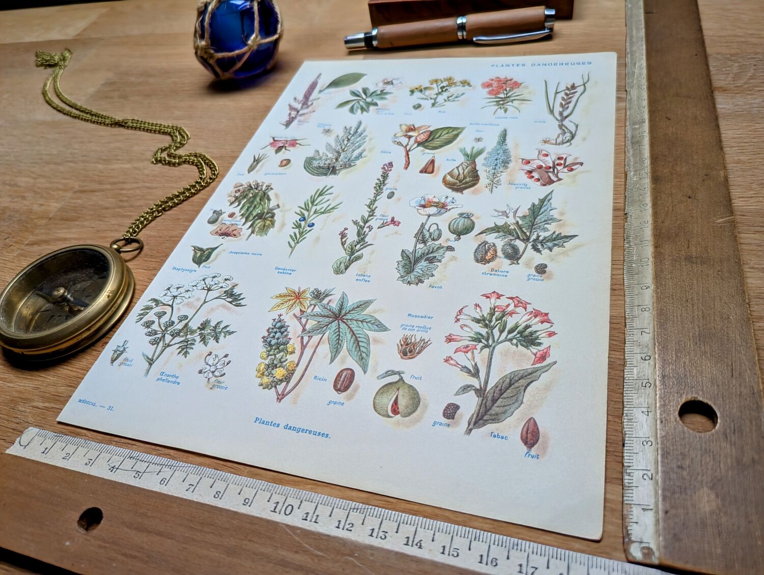 Printed in 1954, Dangerous Plants.