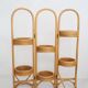 Rattan plant holder