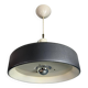 J. Hoogervorst - "Model 4017" - Anvia Pendant Lamp 1960s