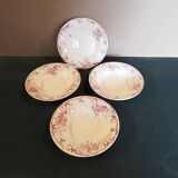 Assiettes creuses terre de fer